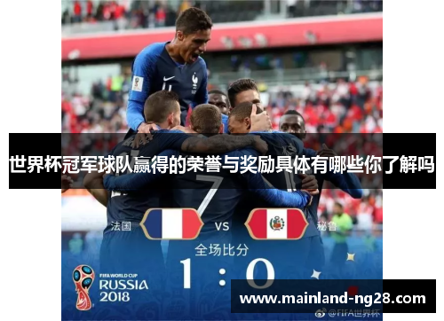 世界杯冠军球队赢得的荣誉与奖励具体有哪些你了解吗
