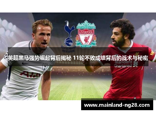 英超黑马强势崛起背后揭秘 11轮不败成绩背后的战术与秘密 英超黑马强势崛起背后揭秘 11轮不败成绩背后的战术与秘密