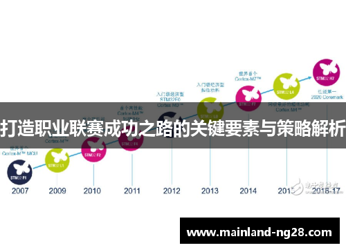 打造职业联赛成功之路的关键要素与策略解析