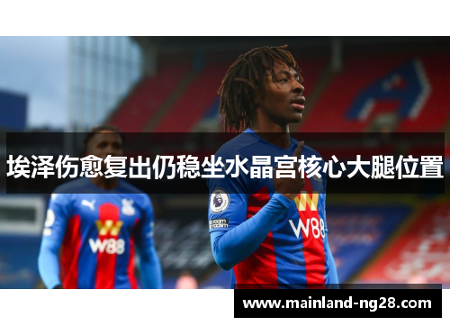 埃泽伤愈复出仍稳坐水晶宫核心大腿位置 埃泽伤愈复出仍稳坐水晶宫核心大腿位置