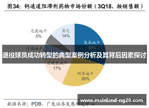退役球员成功转型的典型案例分析及其背后因素探讨 退役球员成功转型的典型案例分析及其背后因素探讨