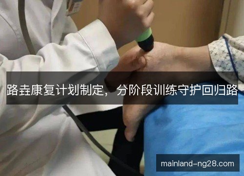 路垚康复计划制定，分阶段训练守护回归路